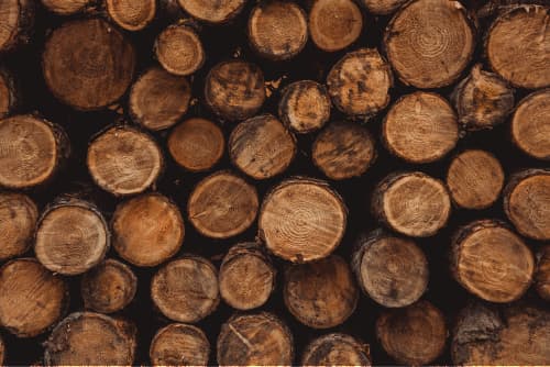 log-new-image